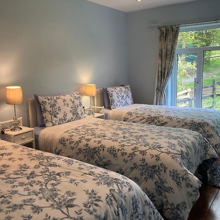 Fitzgerald'S Farmhouse Accommodation V94 Yy47 阿比菲尔 外观 照片
