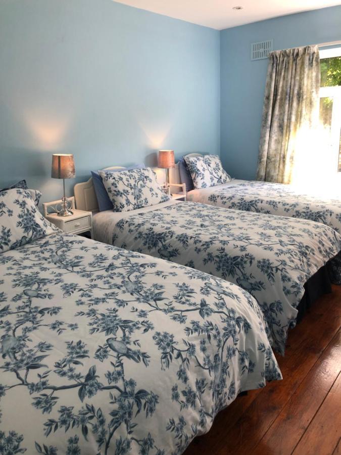 Fitzgerald'S Farmhouse Accommodation V94 Yy47 阿比菲尔 外观 照片