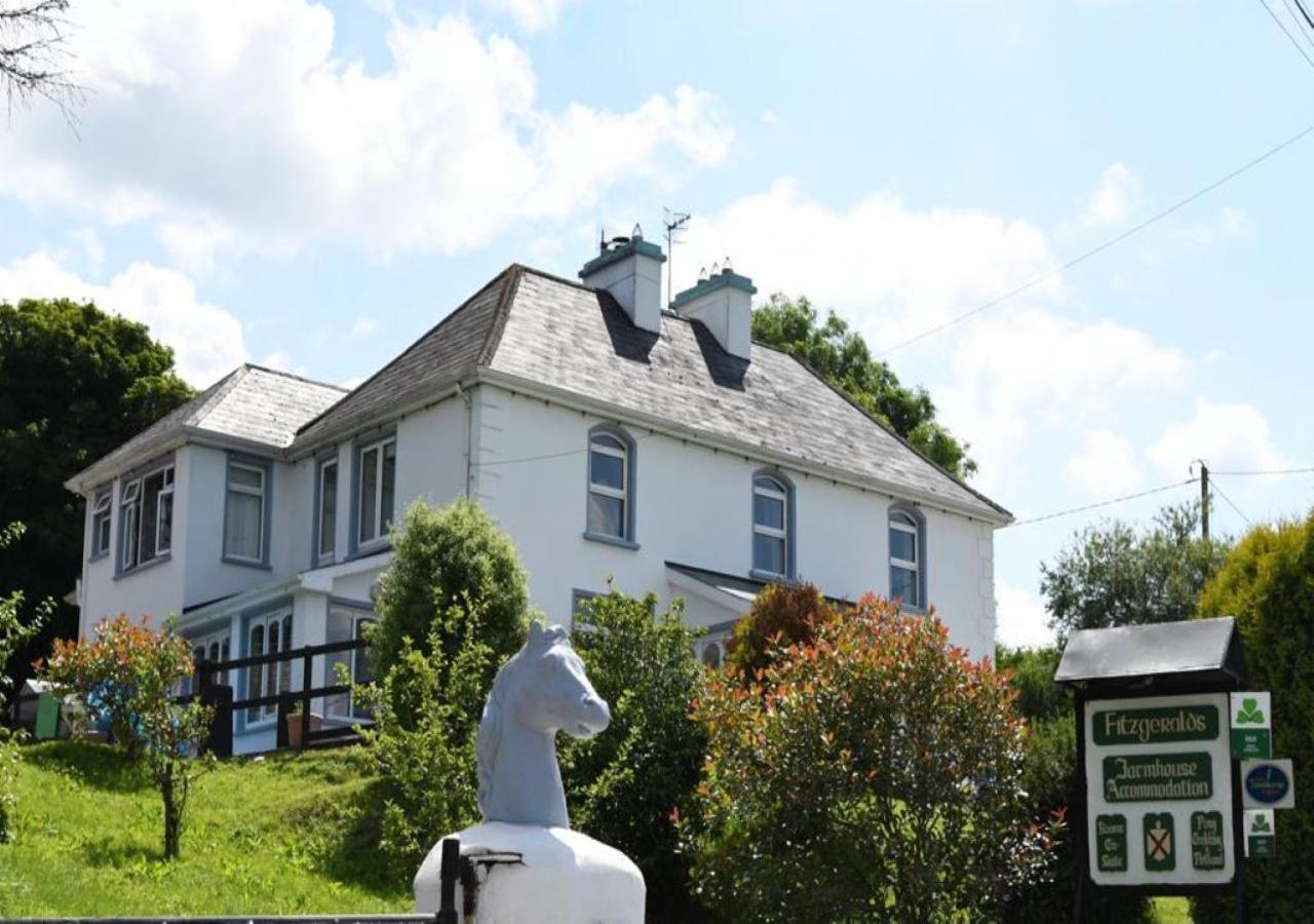 Fitzgerald'S Farmhouse Accommodation V94 Yy47 阿比菲尔 外观 照片